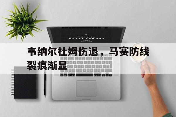 韦纳尔杜姆伤退，马赛防线裂痕渐显的简单介绍