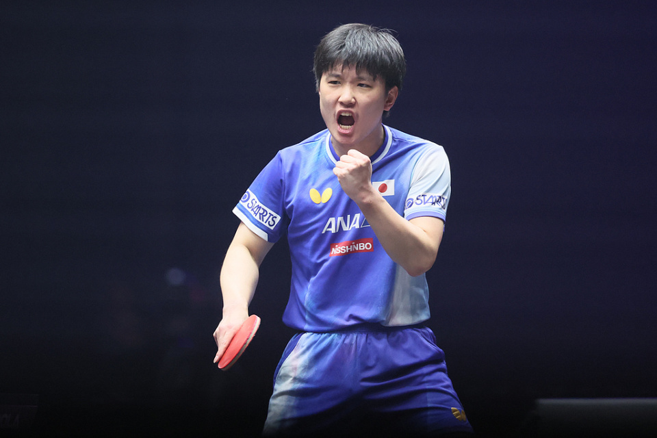 个个球员都在赛场上闪光发亮的简单介绍 个个球员都在赛场上闪光发亮的简单介绍