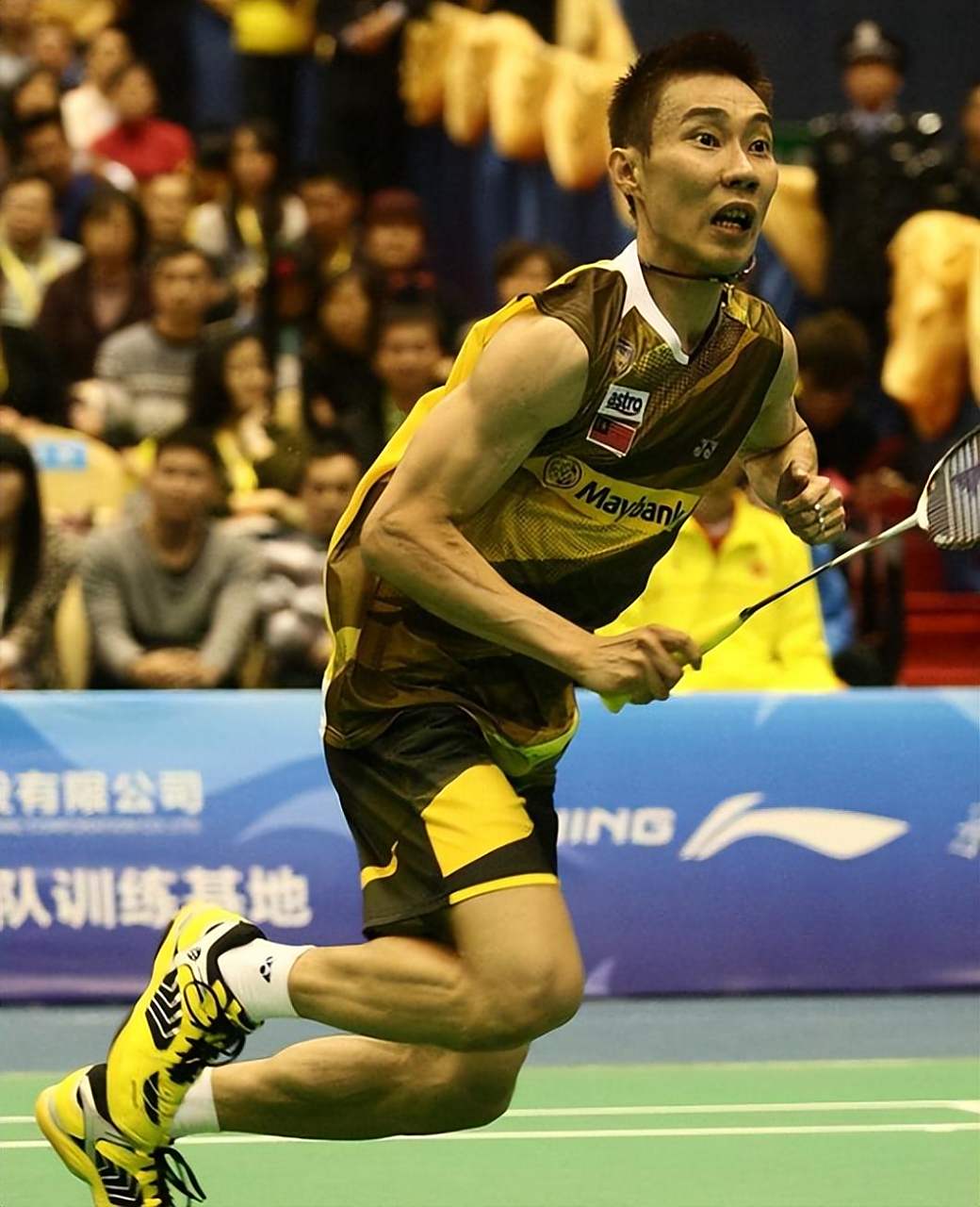 韩国羽毛球队横扫印尼羽毛球队，陶菲克关键制胜的简单介绍