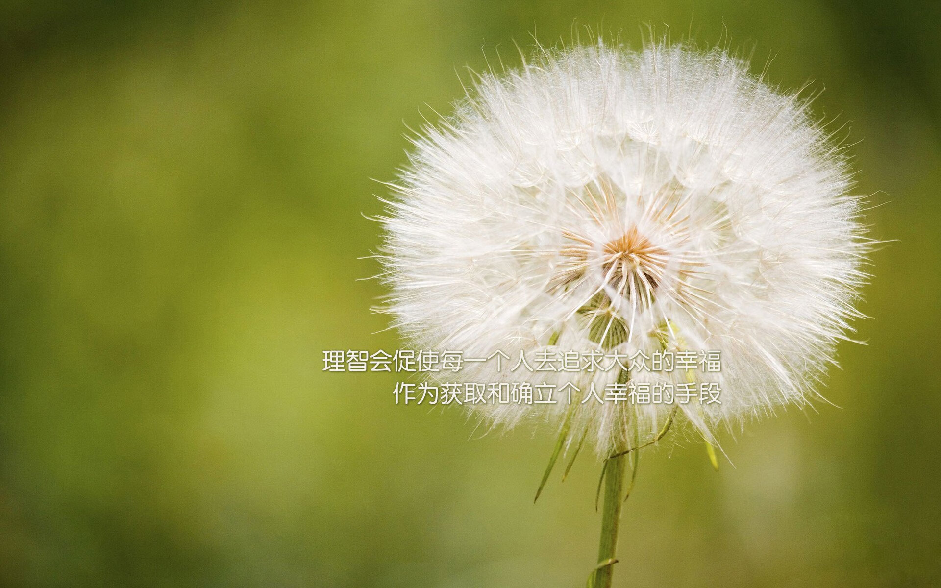 开云体育入口-新疆队横扫马刺！布伦森狂飙47+11，戈壁风暴席卷圣安东尼奥