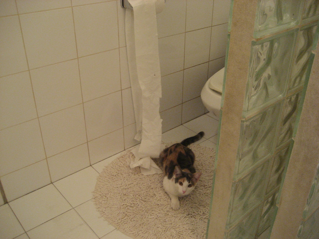 一剑封喉，巴雷拉绝境逢生，洪都拉斯掀翻日耳曼巨人