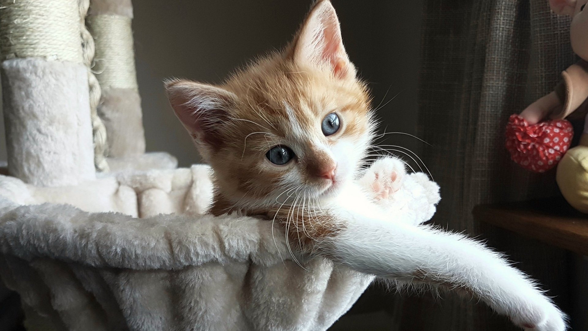 钢铁防线铸就平局，德里赫特满分表现，乌拉圭鏖战加纳