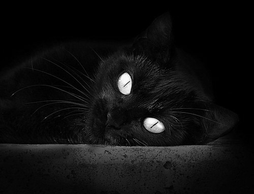 西甲国家德比焦点战与快船踏平上海队，全球体育盛宴的双重奏