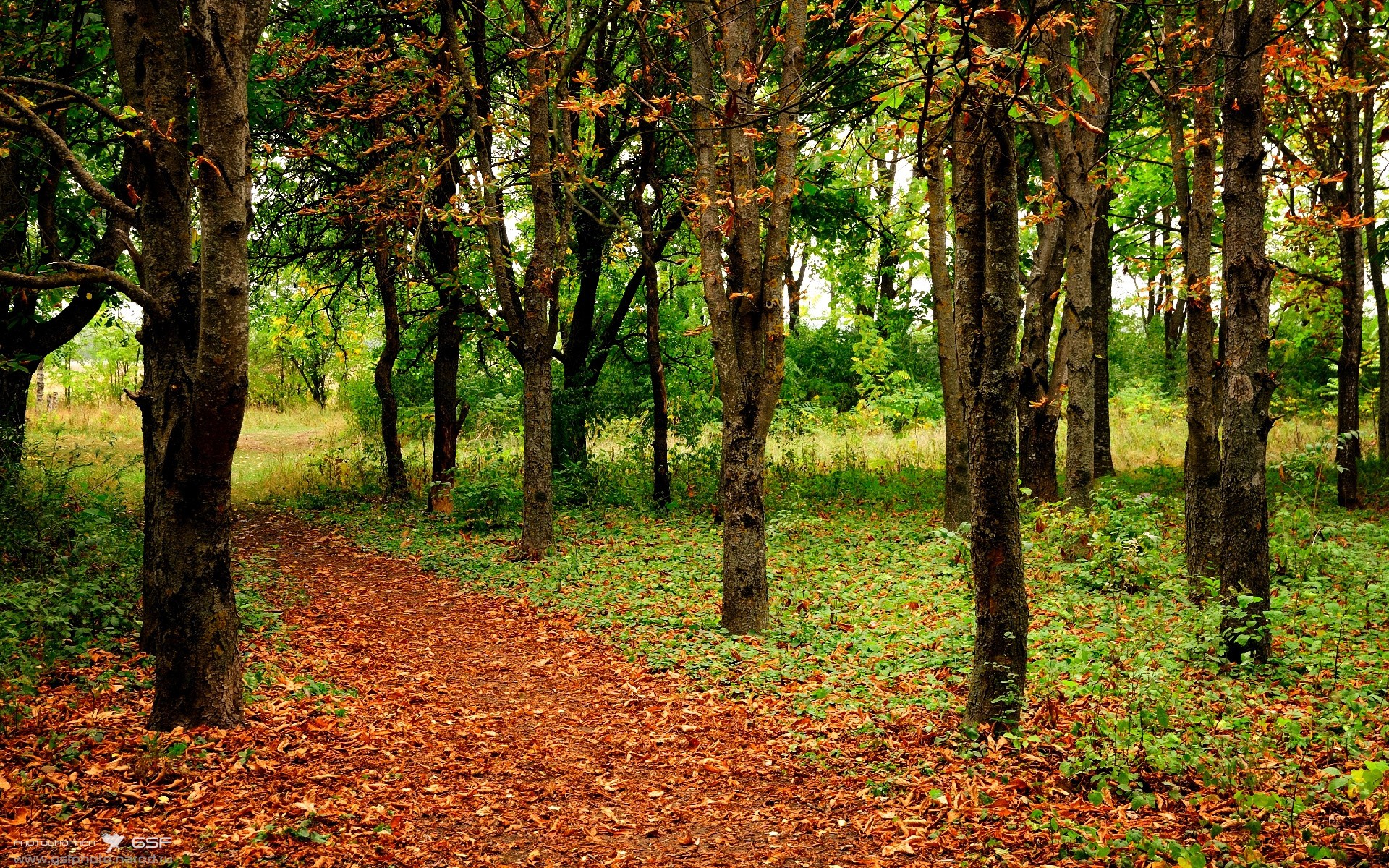 绿茵场外的外交棋局，中国何以在苏格兰实现速胜？