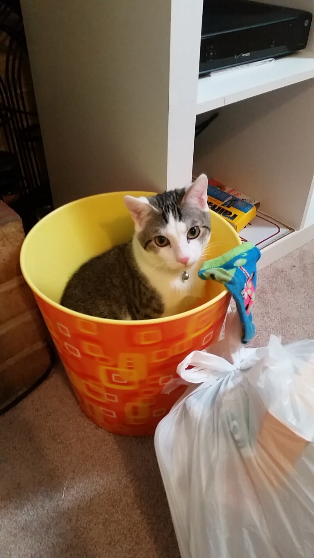 篮网鏖战晋级独行侠折戟，文班亚马美加墨世界杯展露统治力，世界篮球新纪元的双线叙事