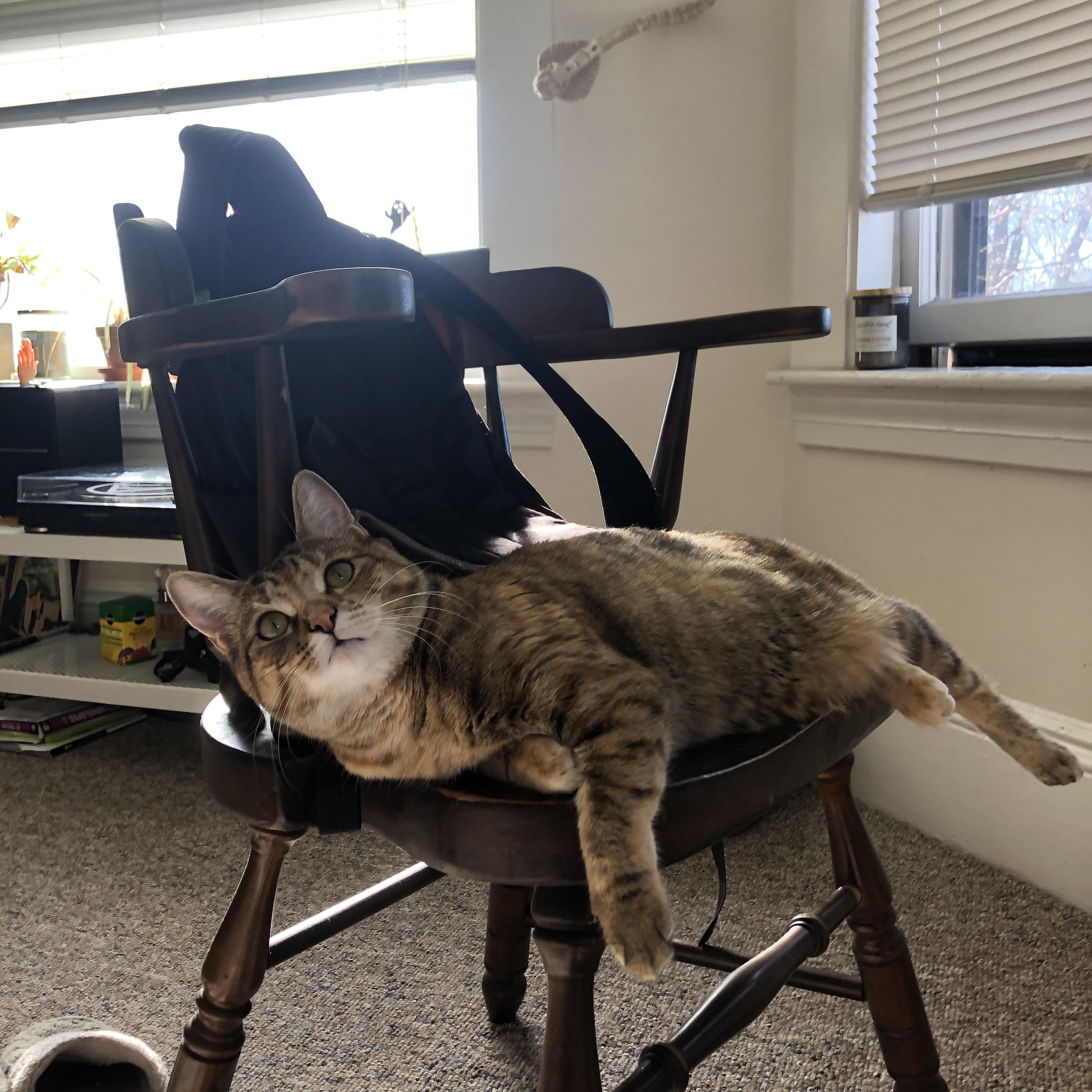 赛场交响曲，篮球绝杀的孤胆与足球争冠的棋局