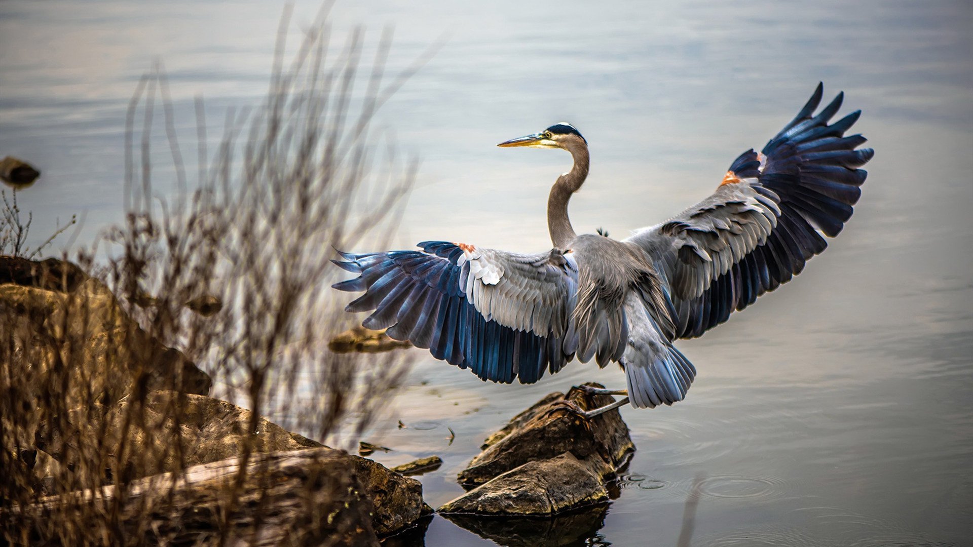 穹顶之下,利刃出鞘,班凯罗在总决赛之夜的无声宣言