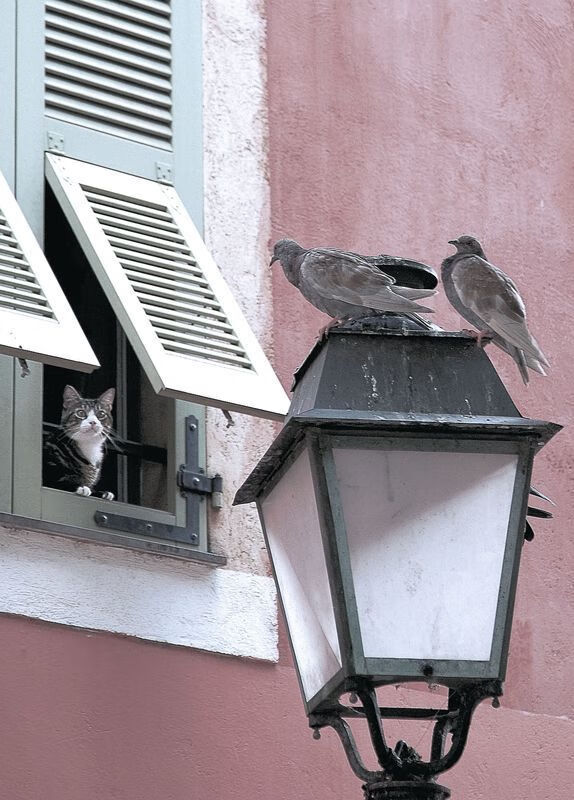 希腊战车碾碎南非，罗德里戈利刃持续出鞘